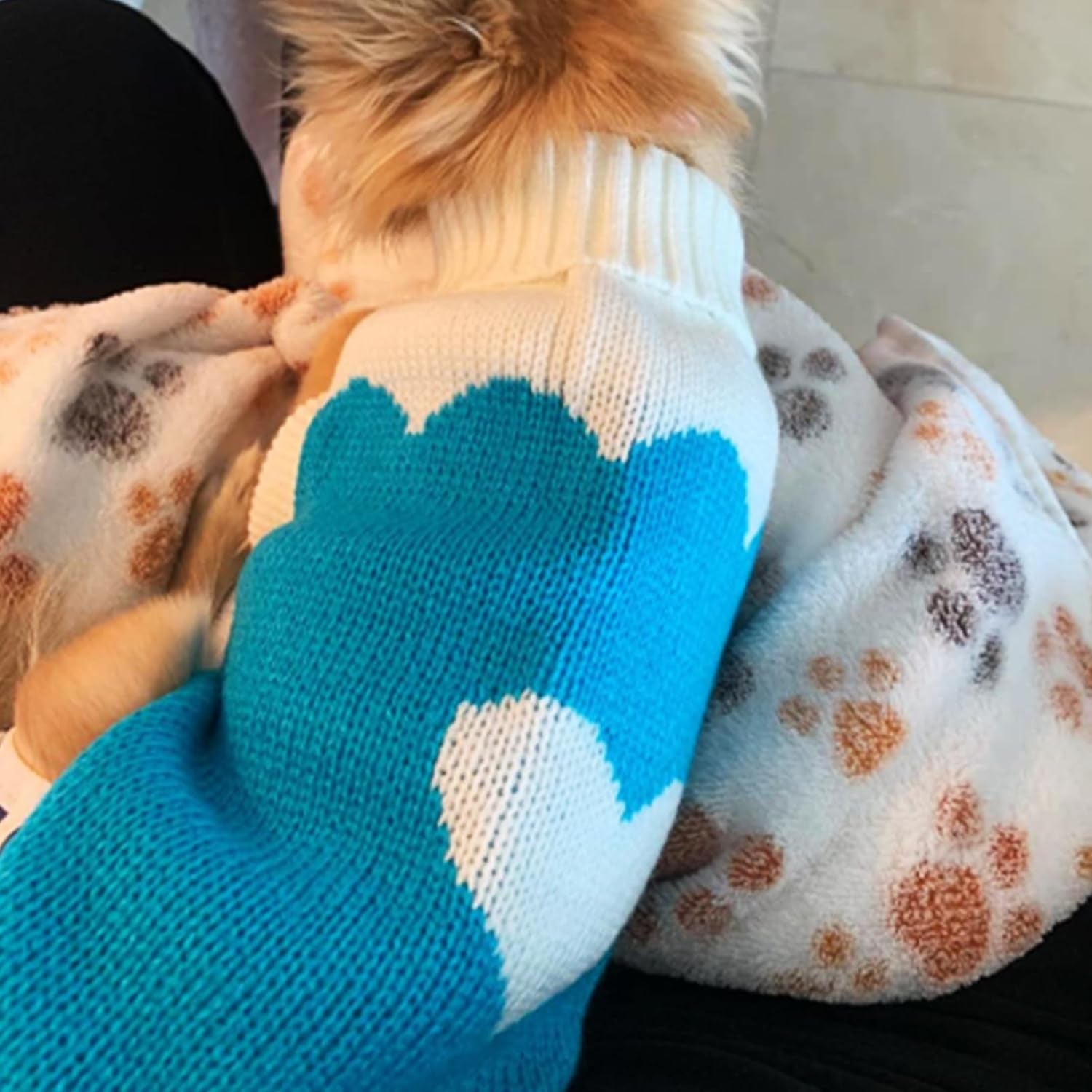 Classic Knit Turtleneck Dog Sweaters for Winter Warmth