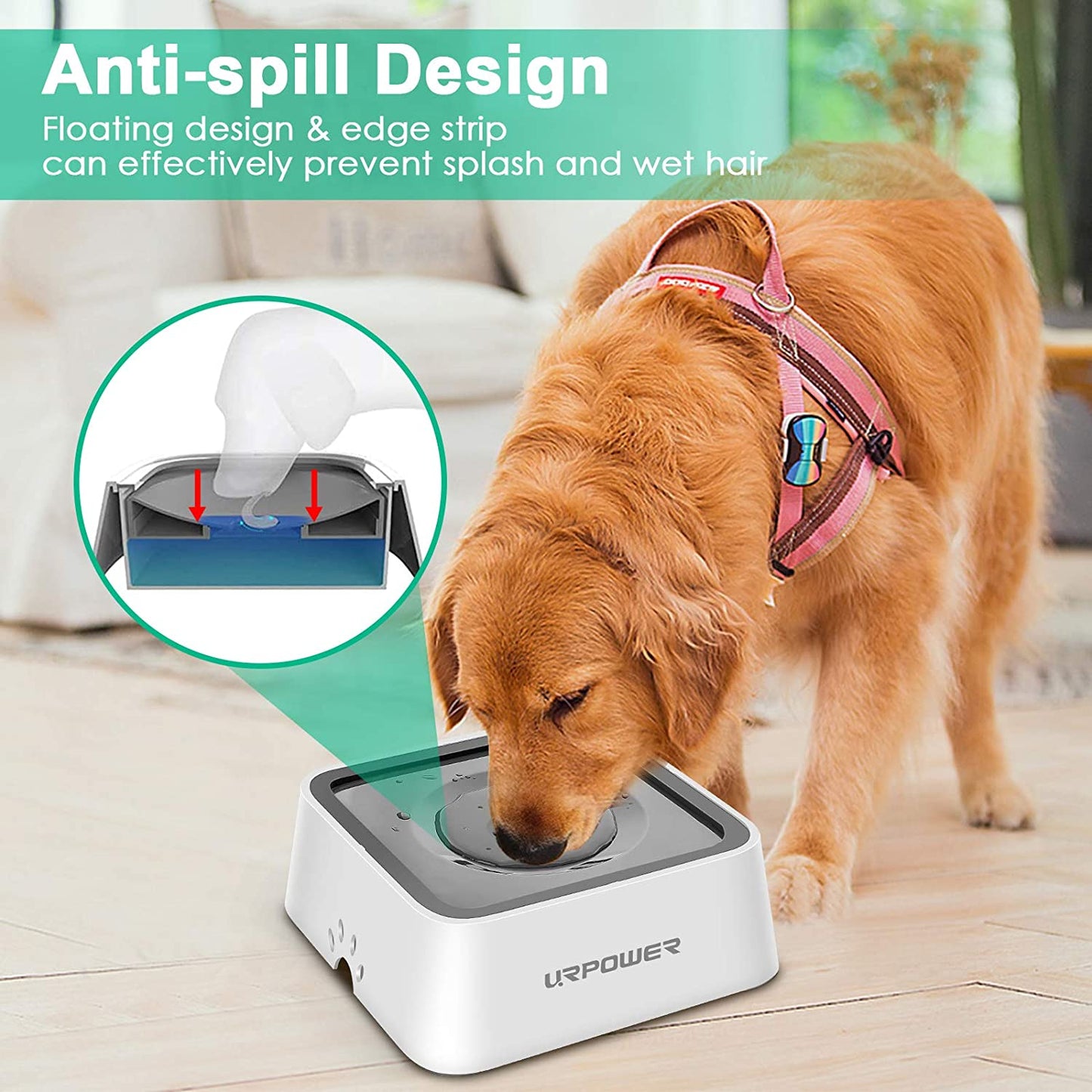 2.5L Large Capacity Dog Water Bowl - 85oz
