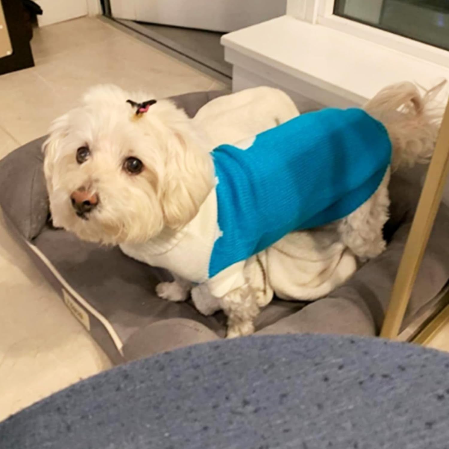 Classic Knit Turtleneck Dog Sweaters for Winter Warmth