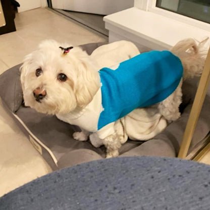 Classic Knit Turtleneck Dog Sweaters for Winter Warmth
